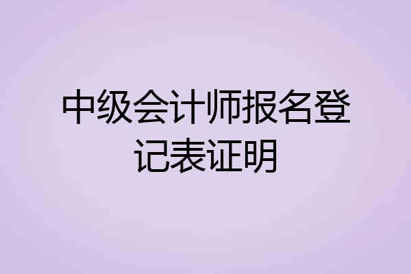 中级会计师报名登记表证明