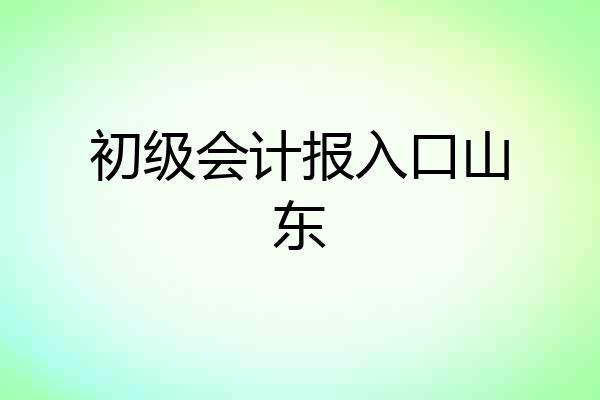 初级会计报入口山东