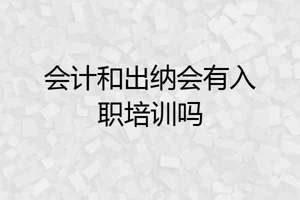 会计和出纳会有入职培训吗