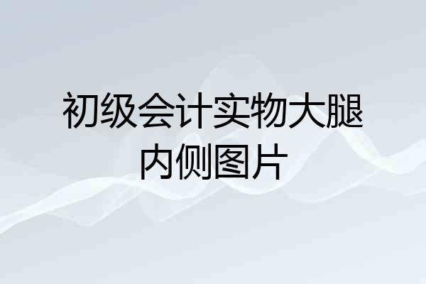 初级会计实物大腿内侧图片
