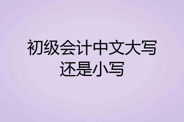 初级会计中文大写还是小写