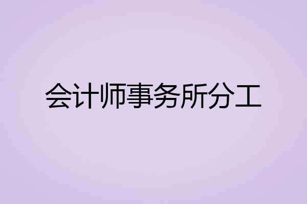会计师事务所分工