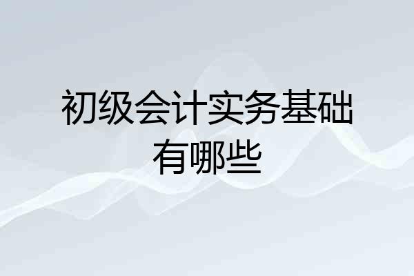 初级会计实务基础有哪些