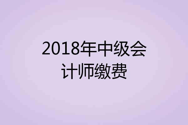 2018年中级会计师缴费