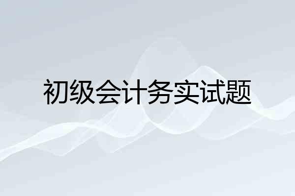 初级会计务实试题