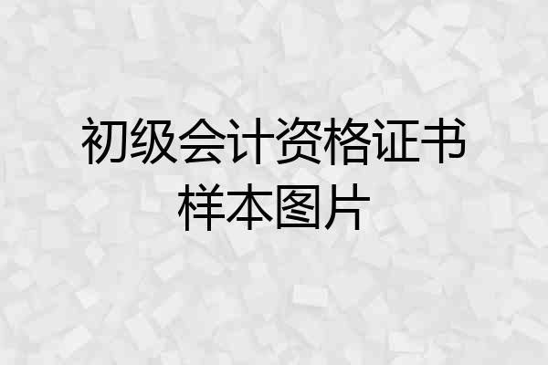 初级会计资格证书样本图片