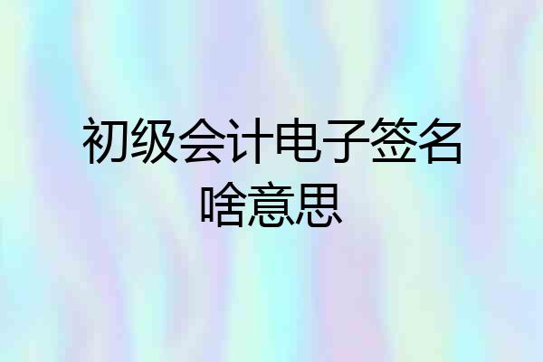 初级会计电子签名啥意思