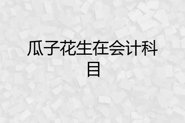 瓜子花生在会计科目