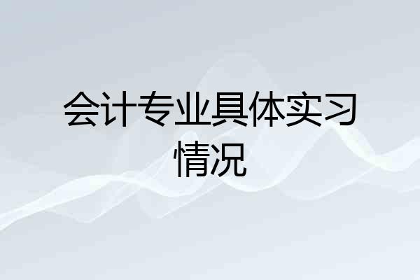 会计专业具体实习情况