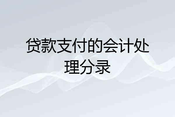 贷款支付的会计处理分录