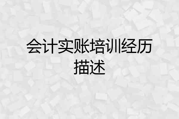 会计实账培训经历描述