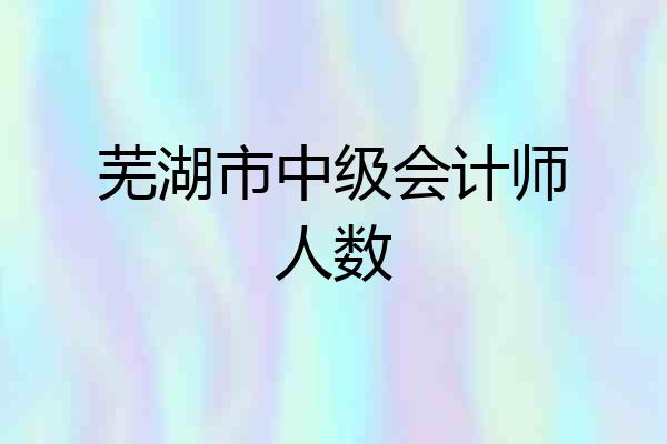 芜湖市中级会计师人数