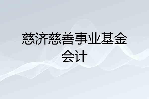 慈济慈善事业基金会计