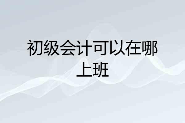 初级会计可以在哪上班