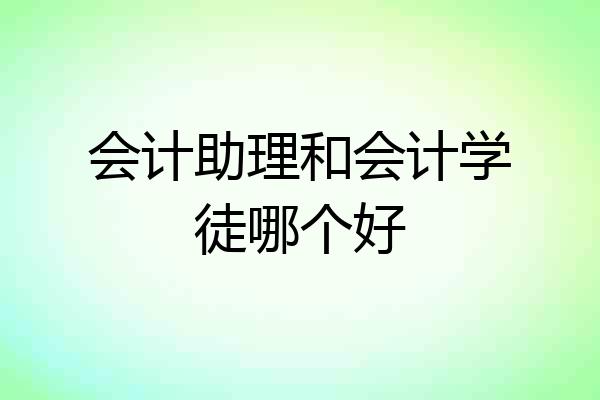 会计助理和会计学徒哪个好