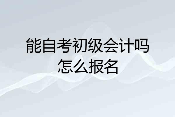 能自考初级会计吗怎么报名