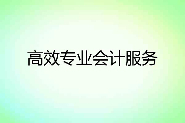 高效专业会计服务