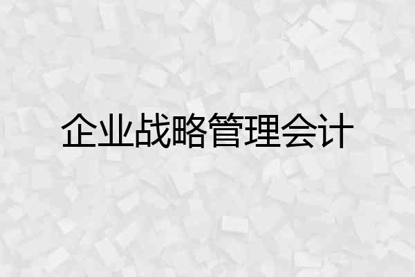 企业战略管理会计