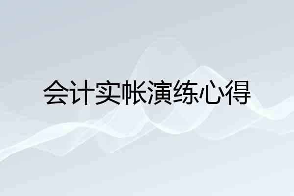 会计实帐演练心得