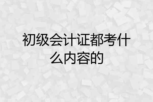 初级会计证都考什么内容的