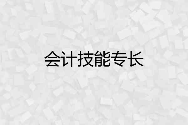 会计技能专长