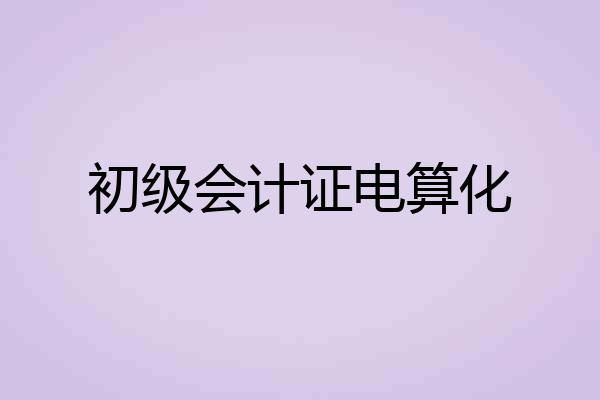 初级会计证电算化