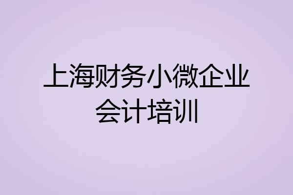 上海财务小微企业会计培训