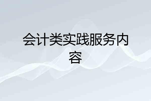 会计类实践服务内容