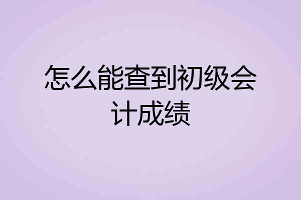 怎么能查到初级会计成绩