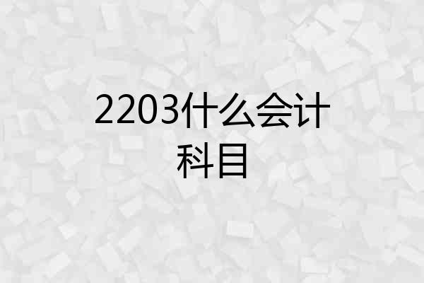 2203什么会计科目