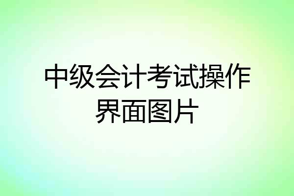 中级会计考试操作界面图片