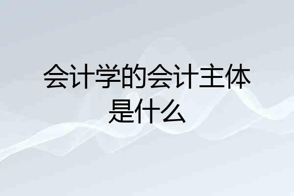 会计学的会计主体是什么