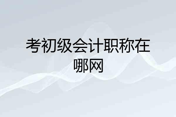 考初级会计职称在哪网