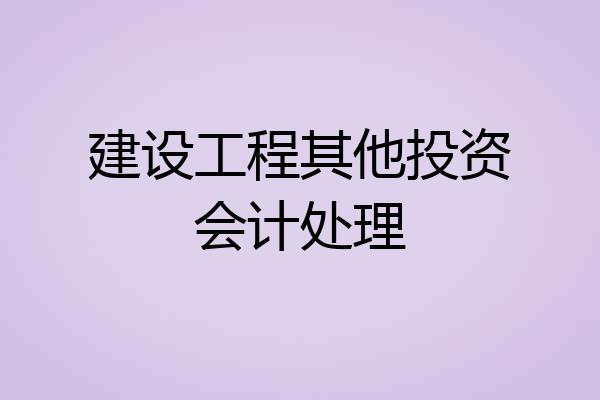 建设工程其他投资会计处理