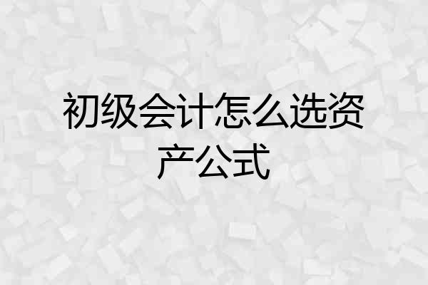 初级会计怎么选资产公式