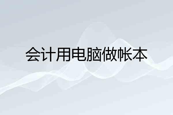 会计用电脑做帐本