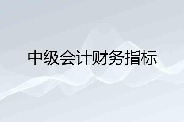 中级会计财务指标