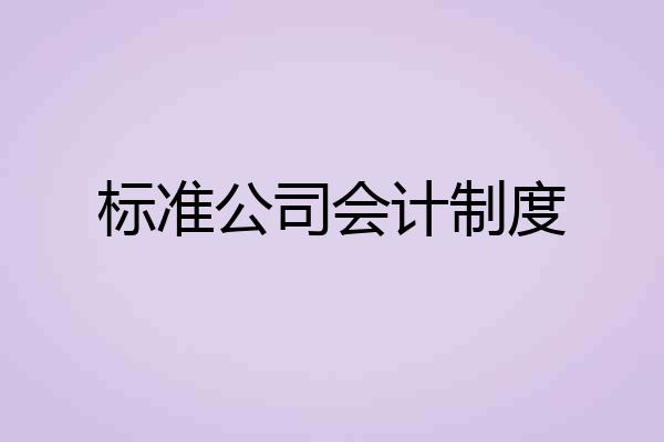 标准公司会计制度
