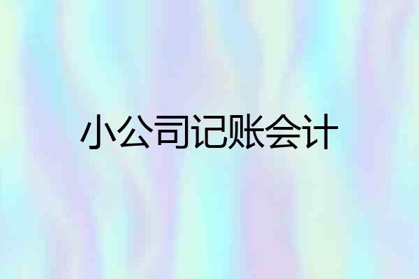 小公司记账会计
