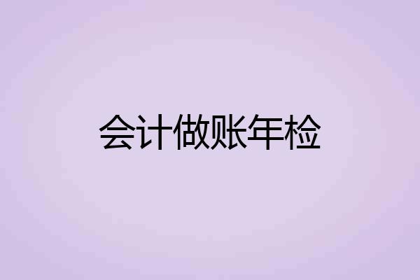会计做账年检