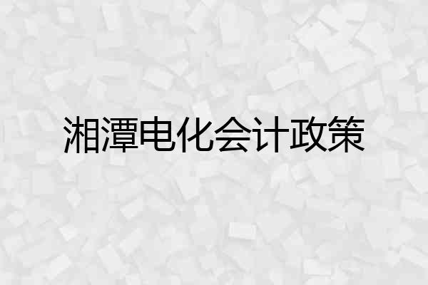 湘潭电化会计政策