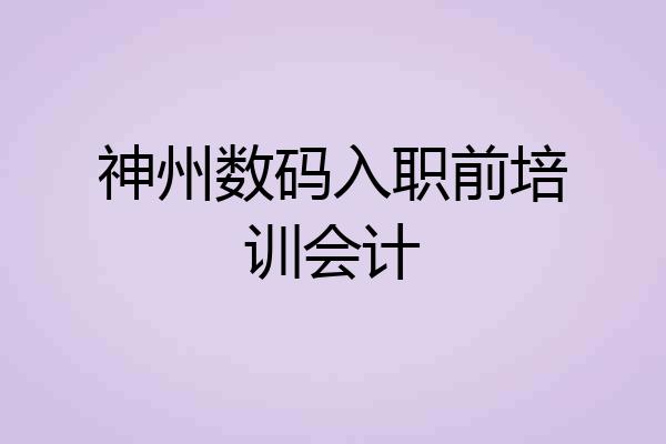 神州数码入职前培训会计