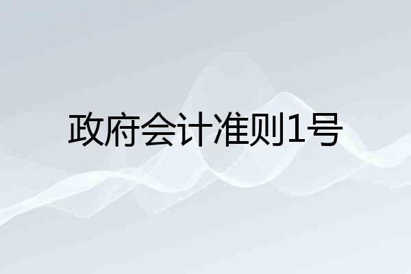 政府会计准则1号