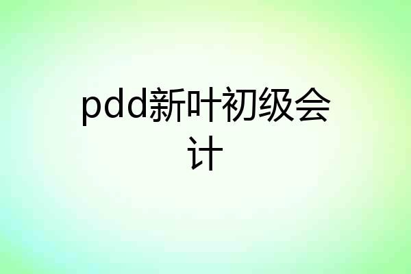 pdd新叶初级会计