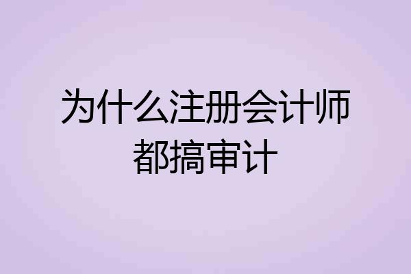 为什么注册会计师都搞审计