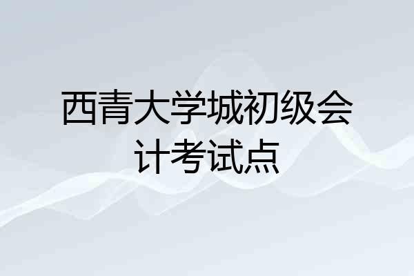 西青大学城初级会计考试点