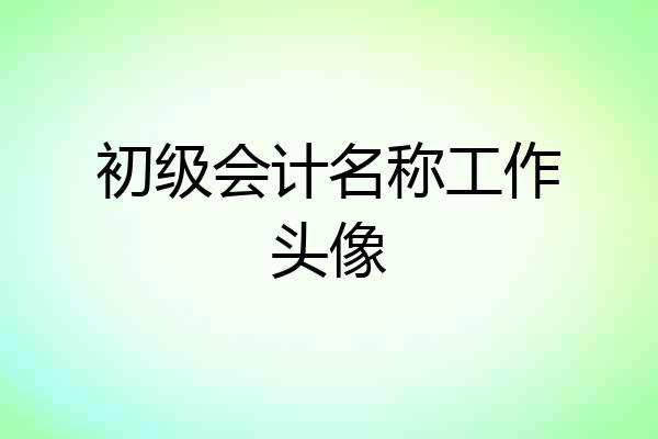 初级会计名称工作头像