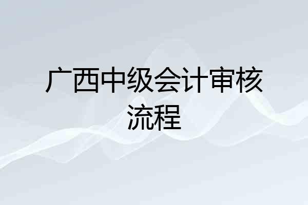 广西中级会计审核流程