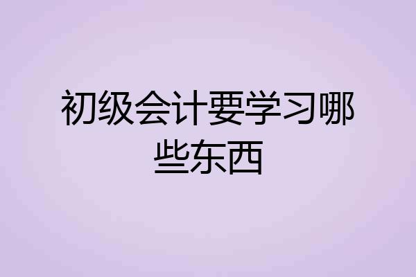 初级会计要学习哪些东西