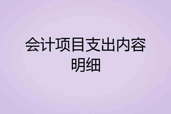 会计项目支出内容明细